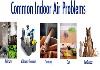 THIẾT BỊ AQ (AIR QUALITY)