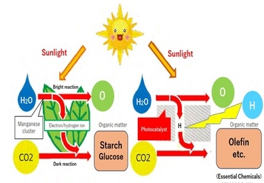 THIẾT BỊ KHỬ MÙI DIỆT KHUẨN